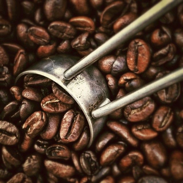 Granos tostados de café