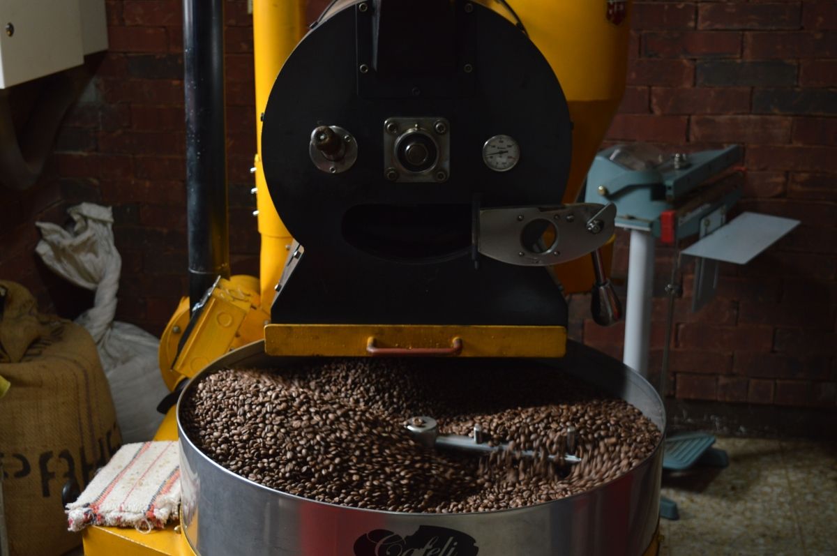 Tostadores de café con venta online